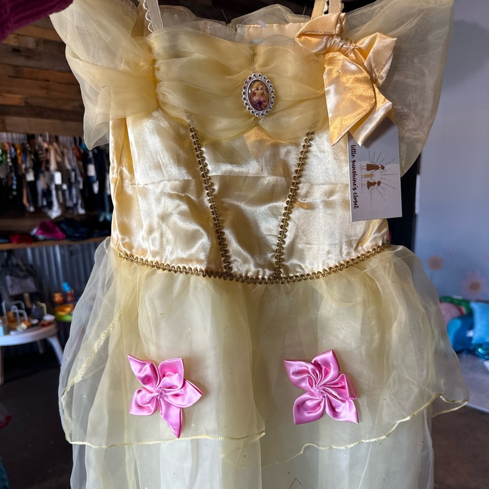 Disney Princess Costume